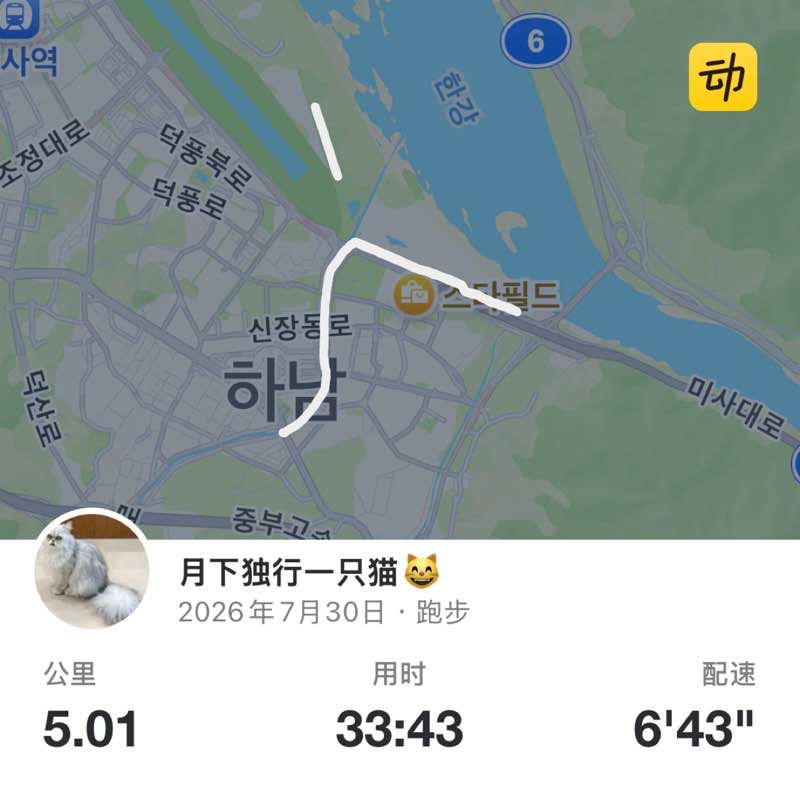 月下独行一只猫😸 post 1