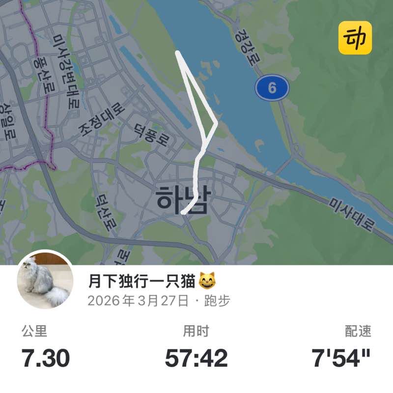 月下独行一只猫😸 post 1