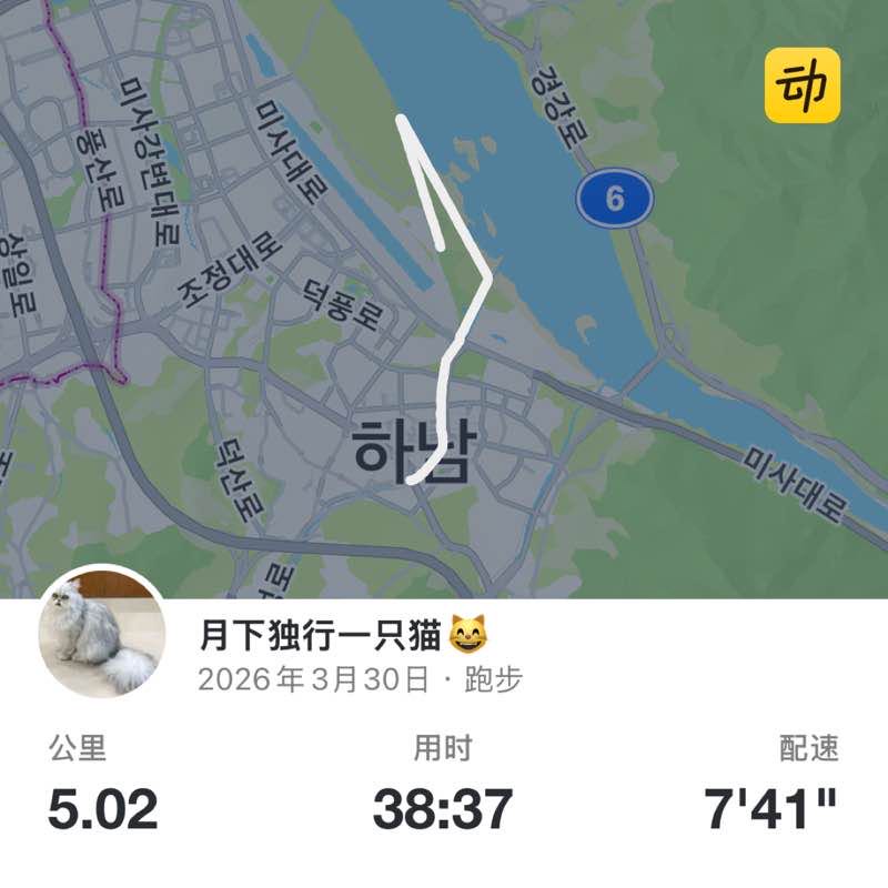 月下独行一只猫😸 post 1