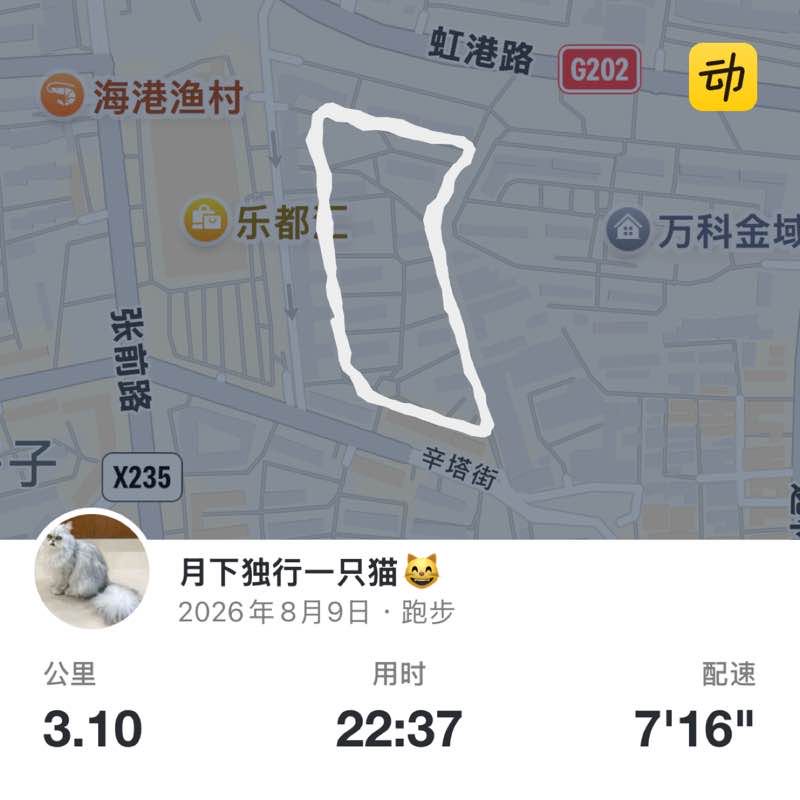 月下独行一只猫😸 post 1