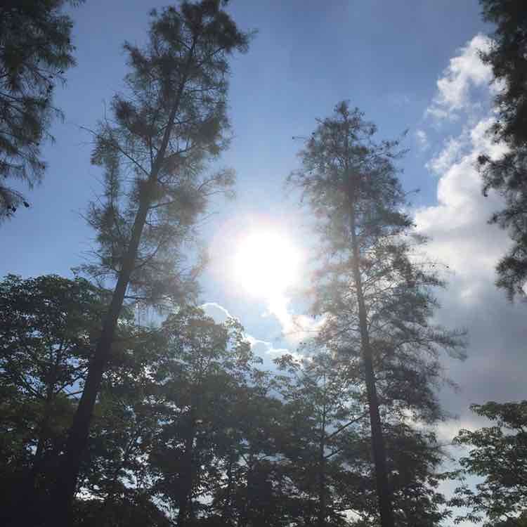 温wen post 1