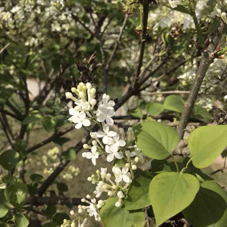 朱红东 post 2