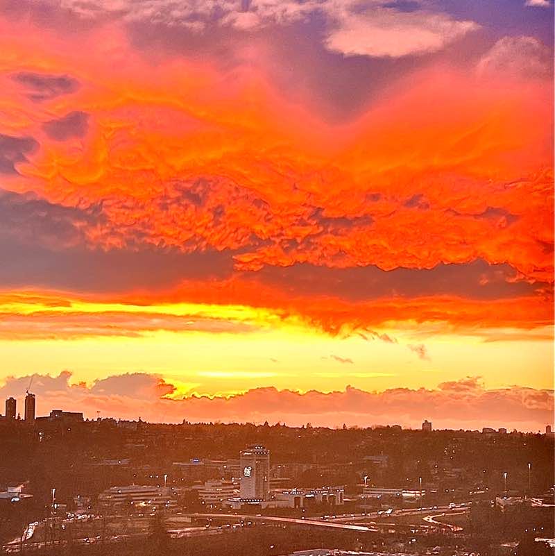 Reyna🇨🇳🇨🇦🇳🇿 post 2