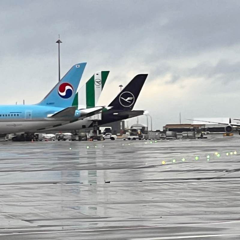 Reyna🇨🇳🇨🇦🇳🇿 post 2