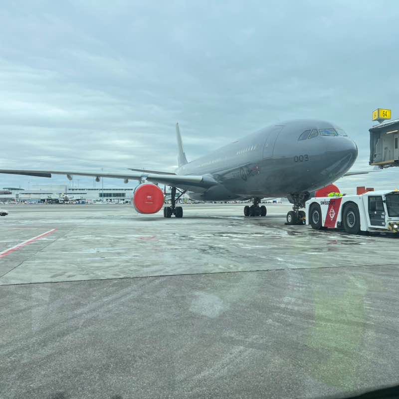 Reyna🇨🇳🇨🇦🇳🇿 post 1