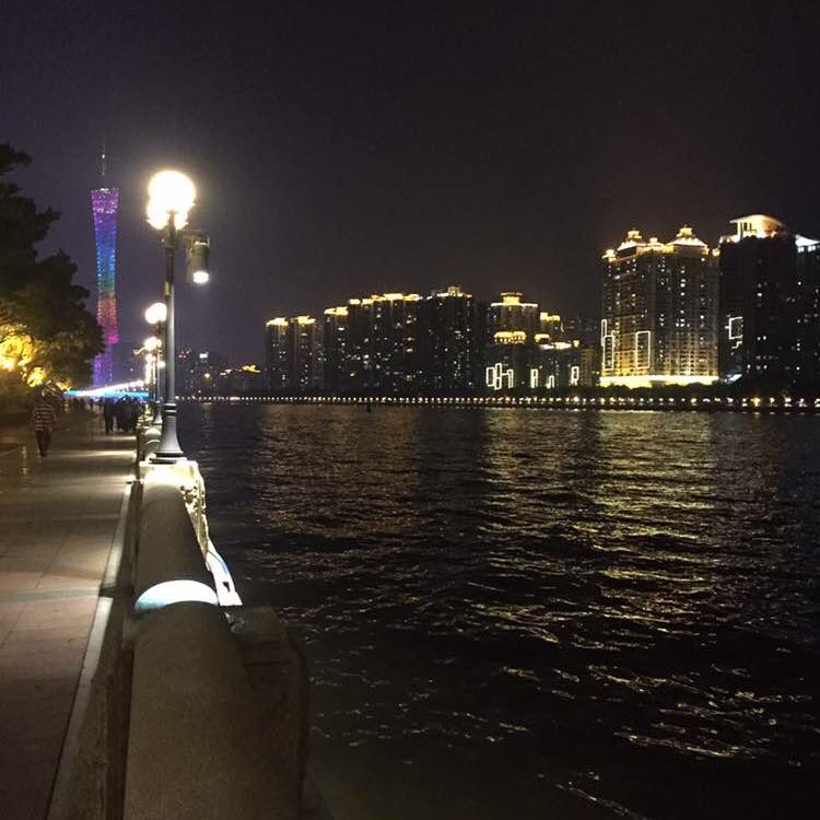 小树懒 post 1