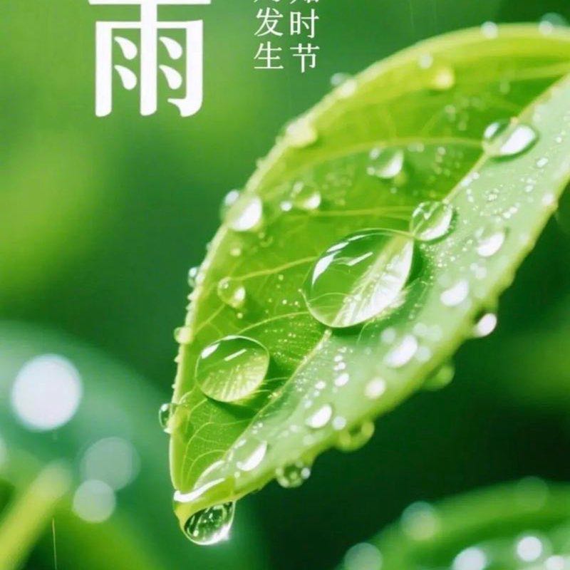 荆棘鸟 post 1