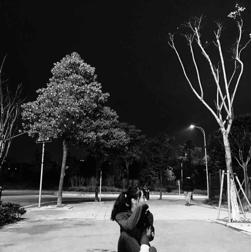 Sasa。 post 1