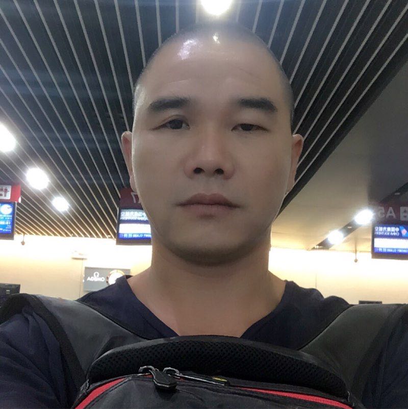 Gavin--战鹰