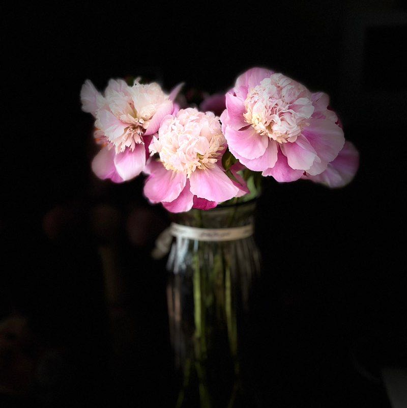 范丽 post 2
