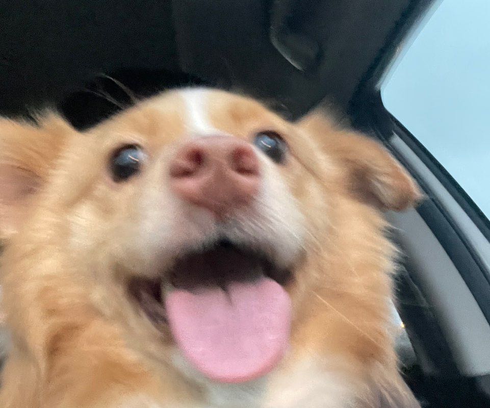 波锐