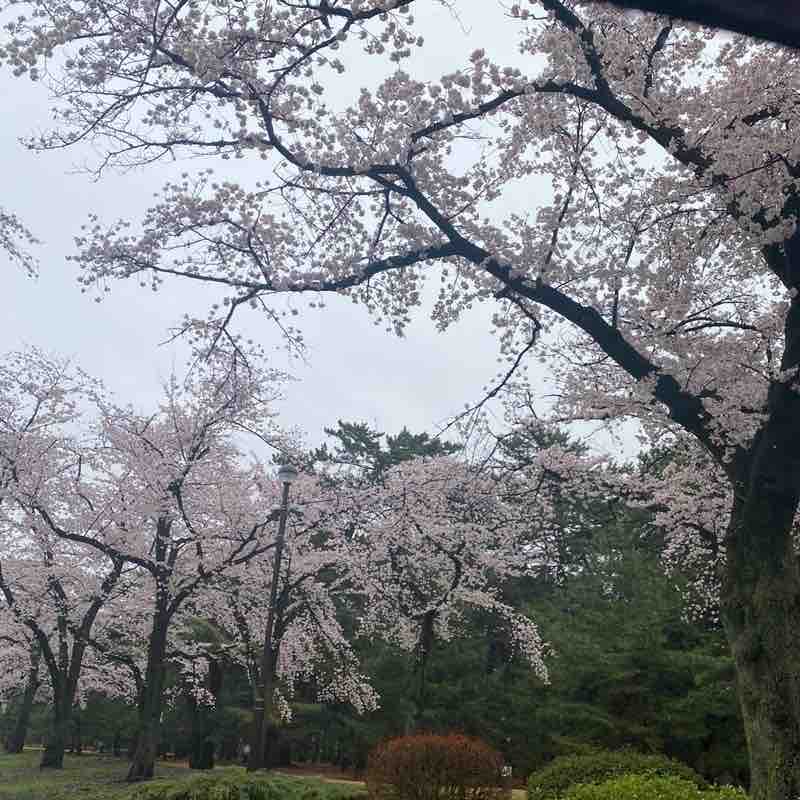 David Wong。。，。1⃣️一一個。： post 1