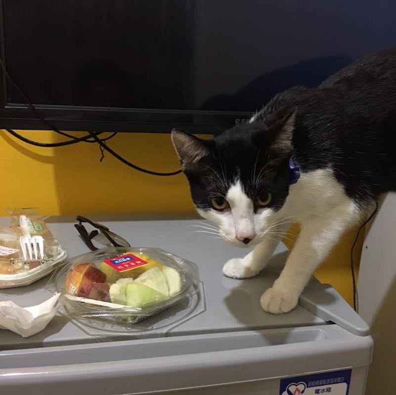 338pro💕💕 post 3