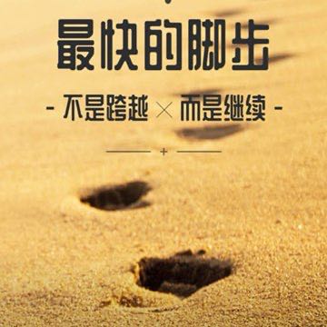 Skye Golden Retriever 🐱🐶 post 1