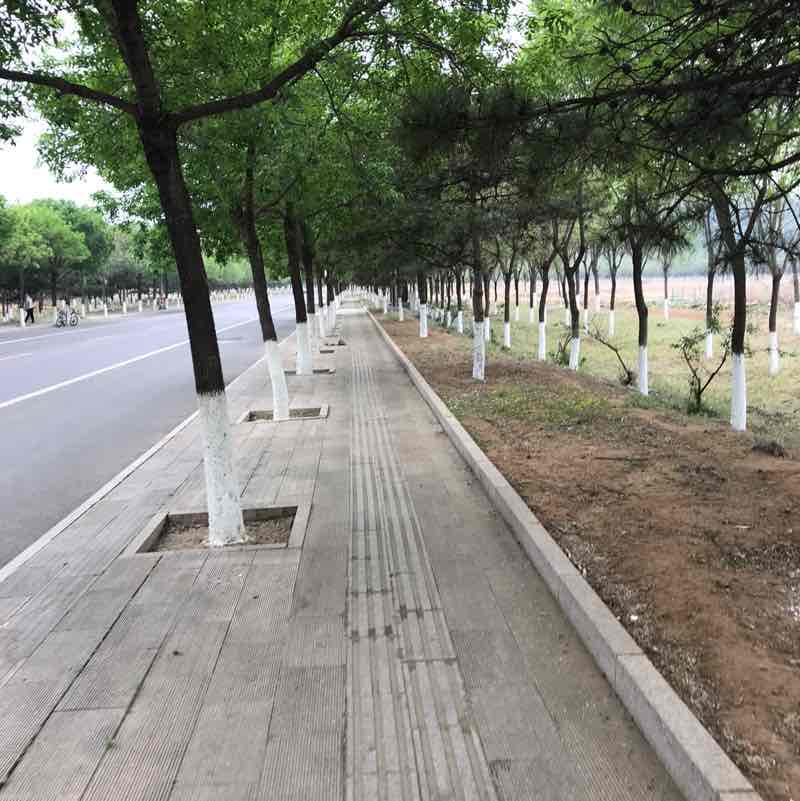 西京 post 1
