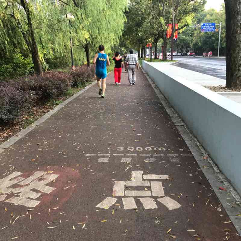向着阳光奔跑 post 2