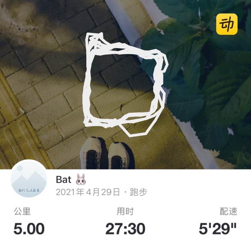Bat 🐰 post 1