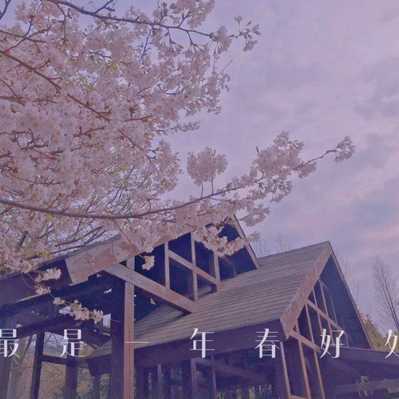 郁离 post 3