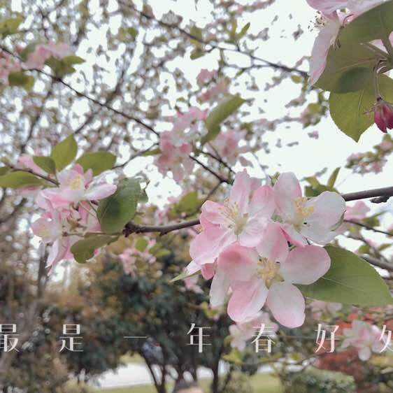 郁离 post 2