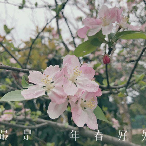郁离 post 1