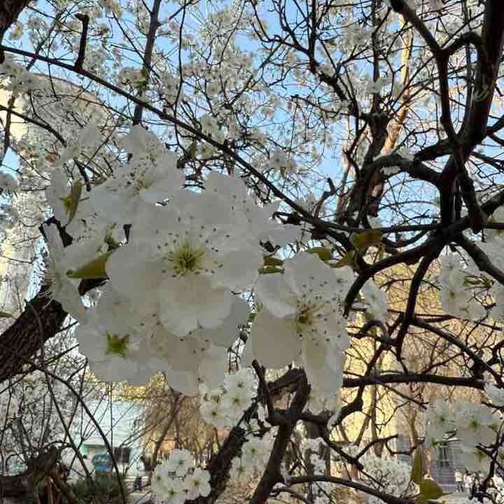 瑾儒 post 2