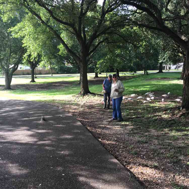 Cici 蓝色妖姬 post 3