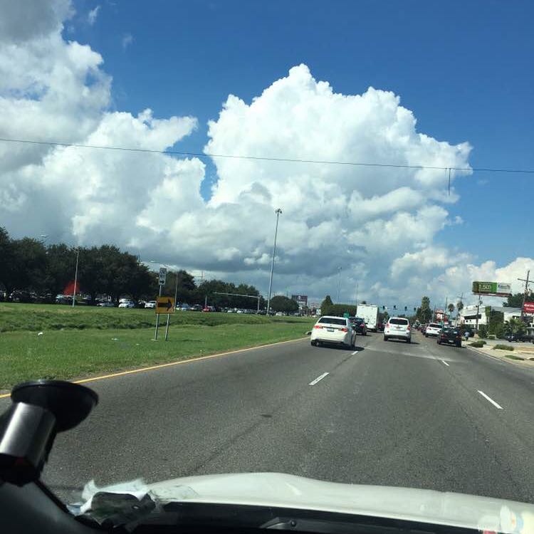 Cici 蓝色妖姬 post 1